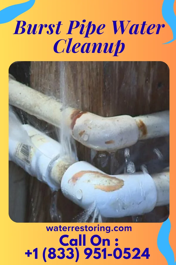 Burst Pipe Water Cleanup in Kysorville, NY