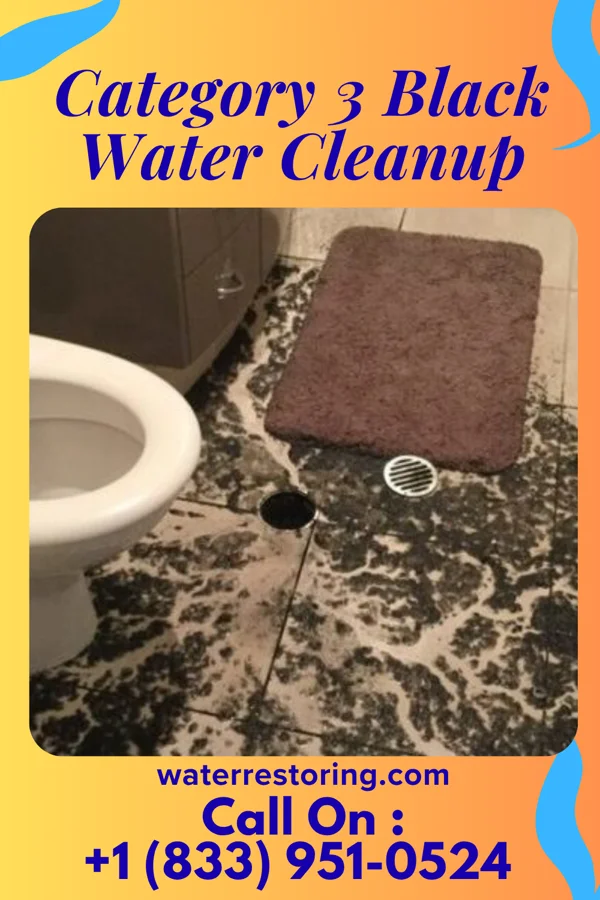 Category 3 Black Water Cleanup in Kysorville, NY