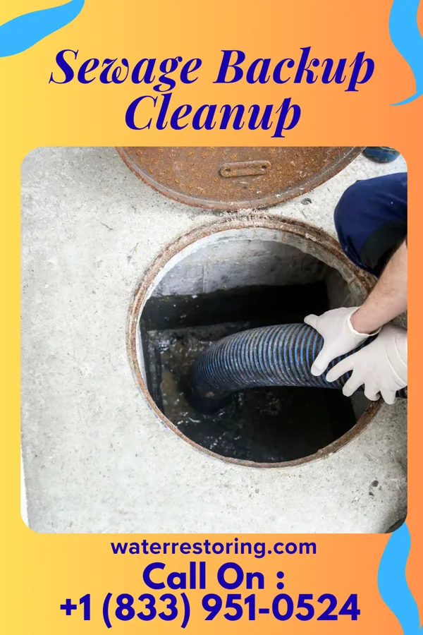 Sewage Backup Cleanup in Kysorville, NY