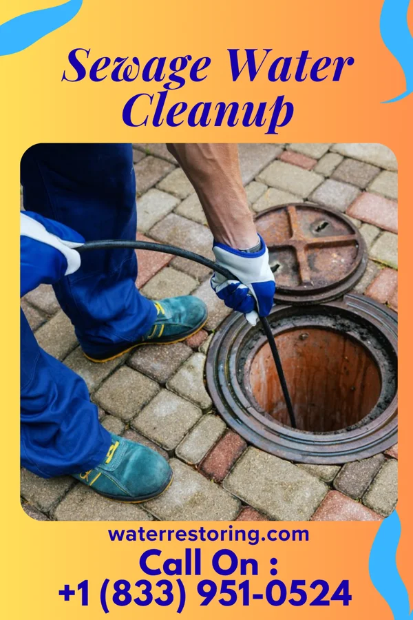 Sewage Water Cleanup in Kysorville, NY