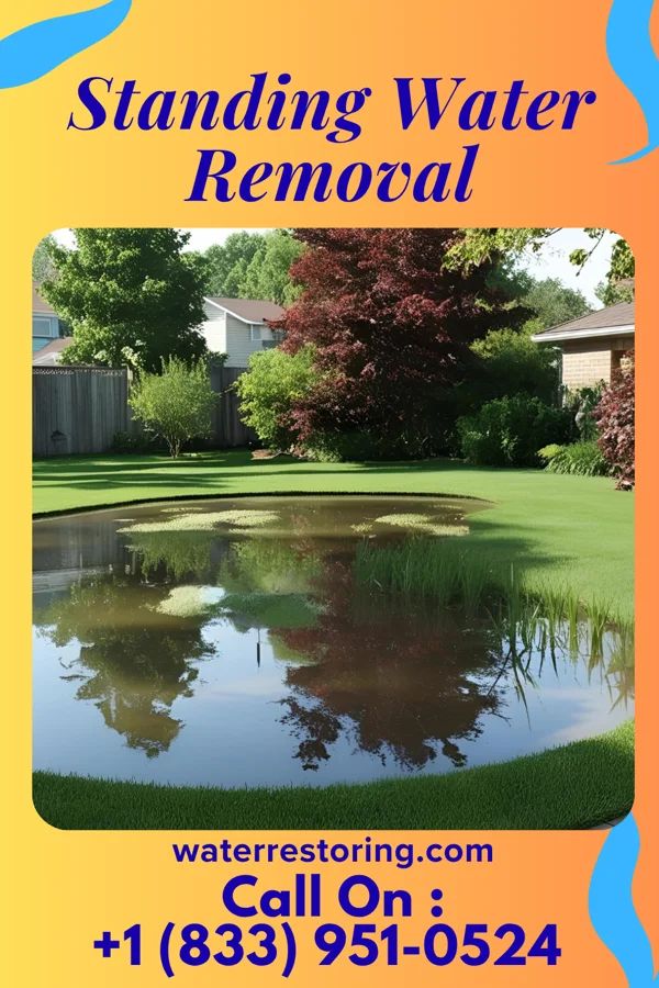 Standing Water Removal in Kysorville, NY